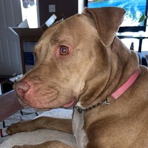 Meet your Posher, Tiana